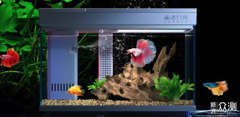 <strong><mark>保定</mark></strong>市北市區龍洋水族器材廠（<strong><mark>保定</mark></strong>市北市區龍洋水族器材廠電話）