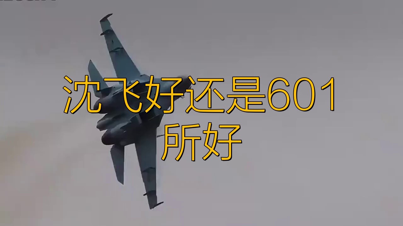 沈飛好還是601所好 沈飛好還是601所好 龍魚論壇 第1張