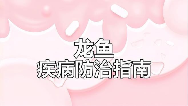 龍魚炸鱗后如何治療？