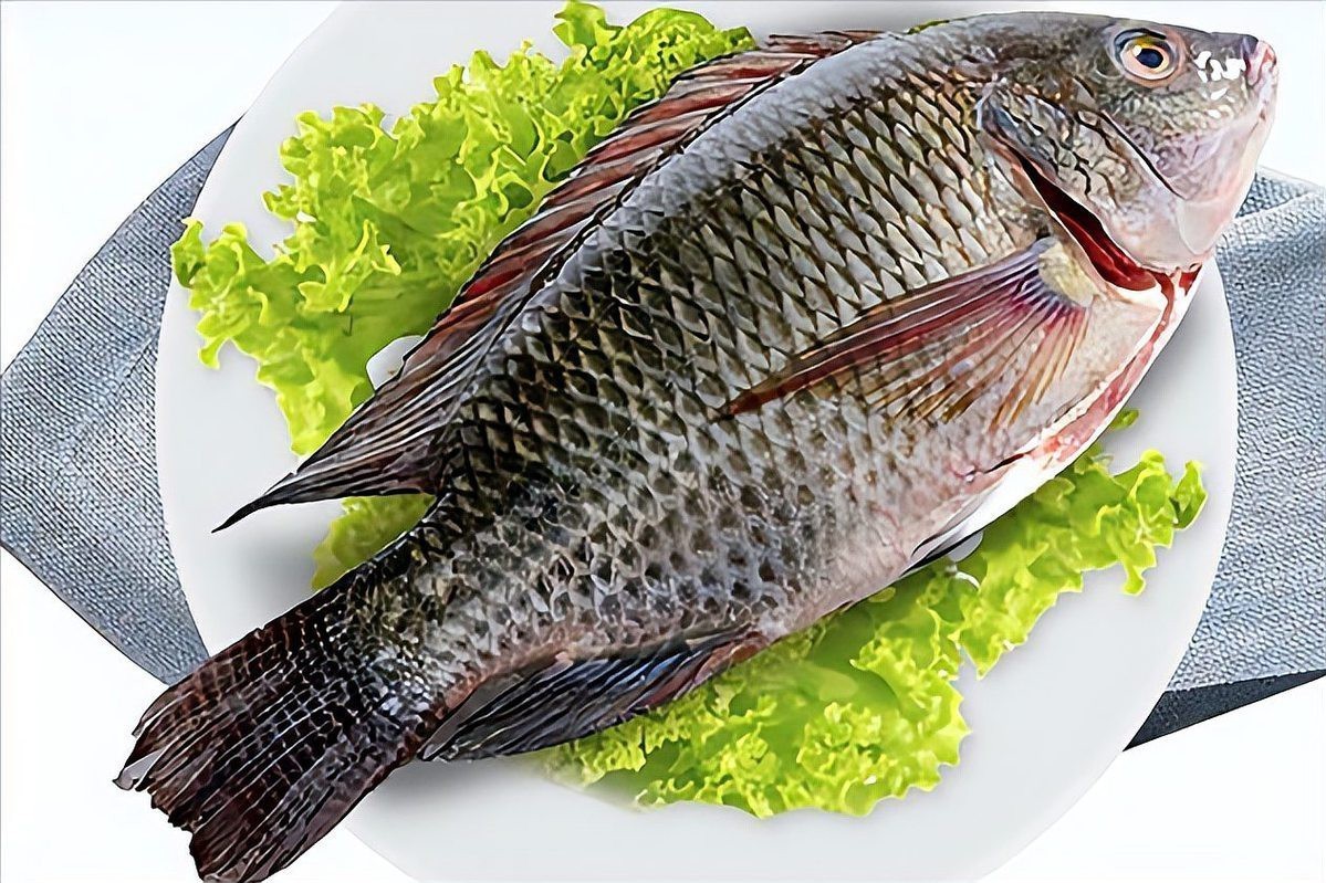 龍魚養(yǎng)了6條會(huì)得白血病嗎