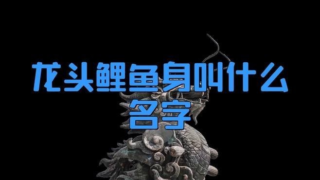 龍頭魚身在哪些文化中常見？