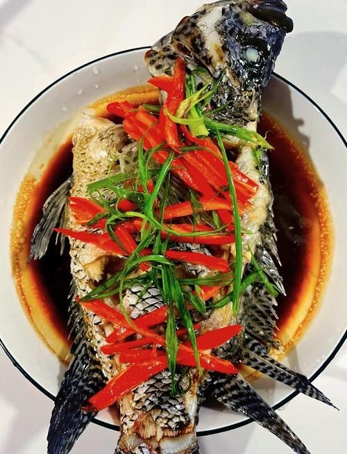 花斑魚圖片 花斑魚圖片 龍魚論壇 第8張