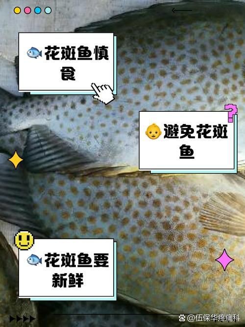 花斑魚圖片 花斑魚圖片 龍魚論壇 第22張