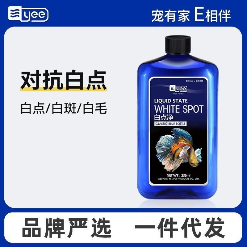 虎紋恐龍王魚價(jià)格表2023最新