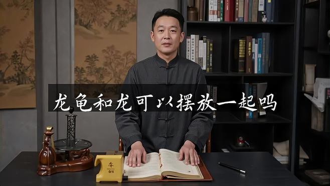 混養龍龜時需要注意哪些事項？