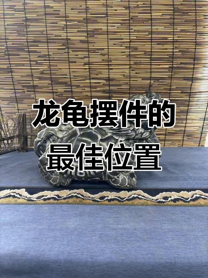 混養龍龜時需要注意哪些事項？
