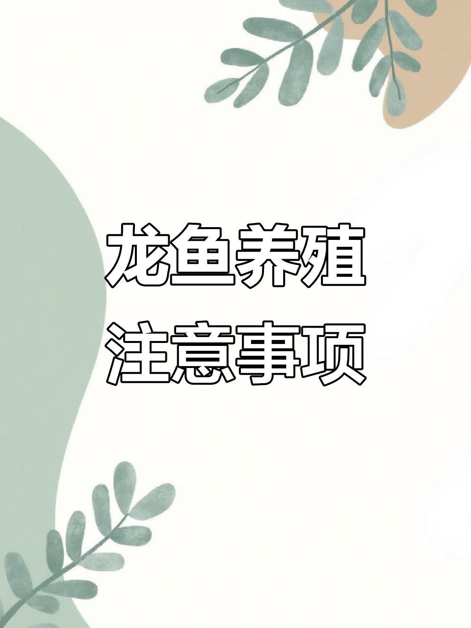 龍魚缸換水頻率如何調整