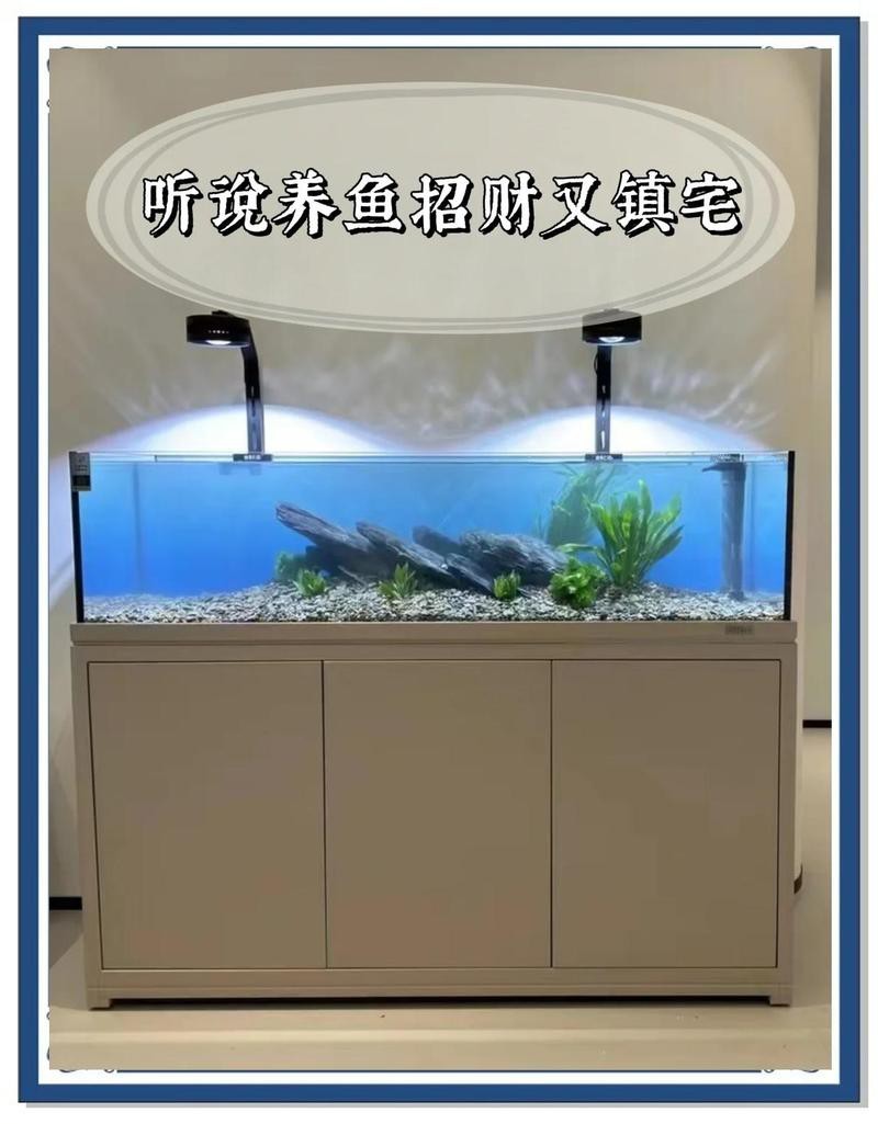 鯊魚家養(yǎng)吉不吉利
