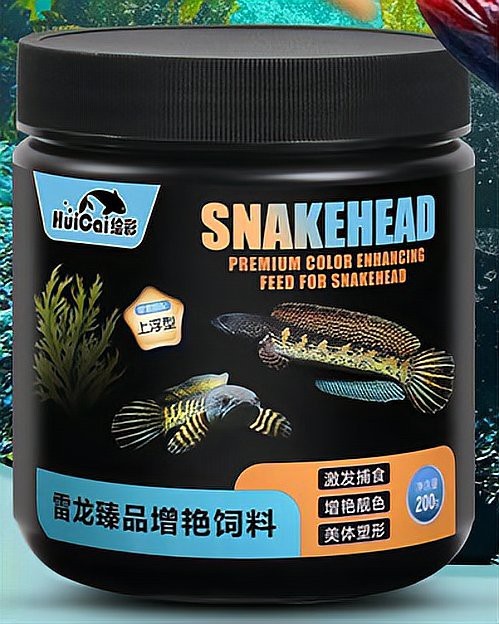 哪些食物可以促進(jìn)龍魚(yú)長(zhǎng)新鱗？