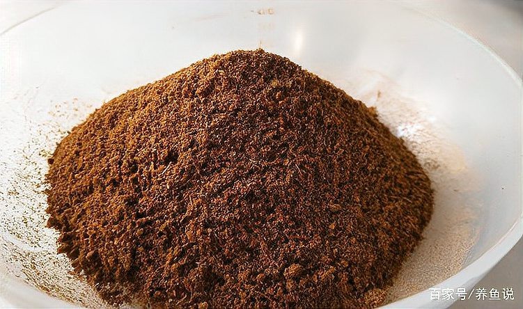 哪些食物可以促進(jìn)龍魚(yú)長(zhǎng)新鱗？