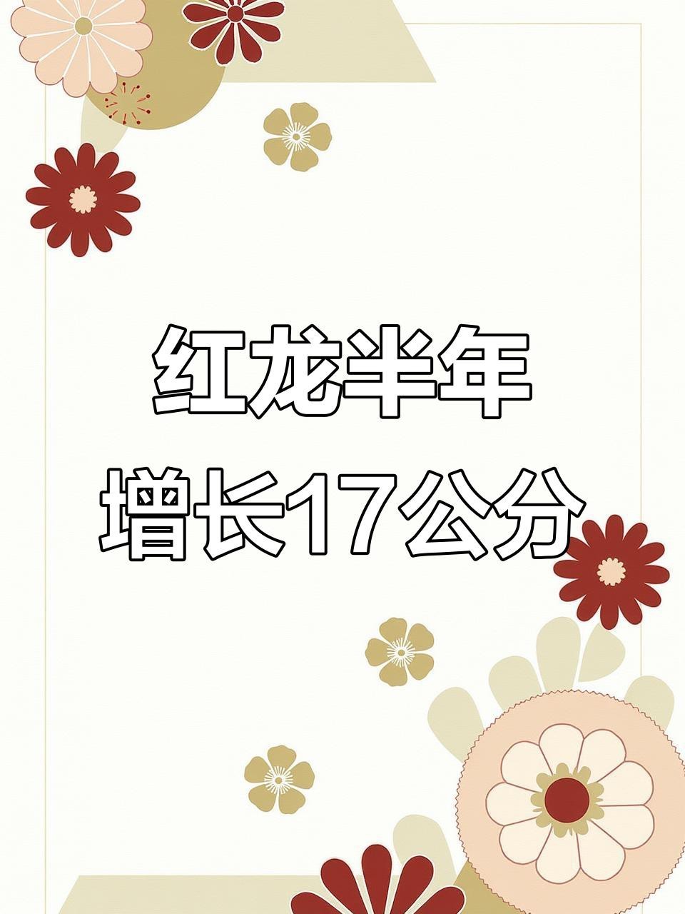 紅龍海水魚生長速度如何？