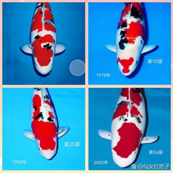 大正三色墨會變化嗎