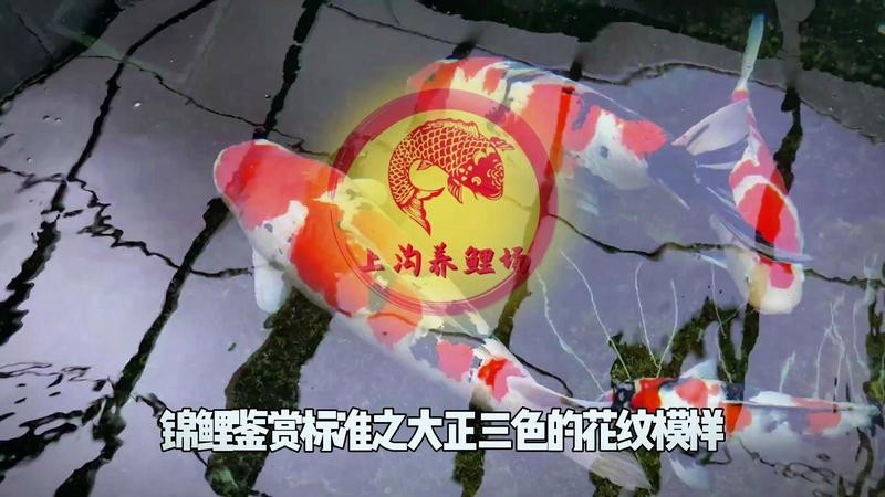 大正三色墨會變化嗎