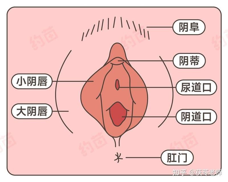 女生下面哪種唇形最好