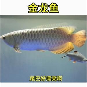 廣州疏凌家具有限公司（廣州疏凌家具有限公司怎么樣）