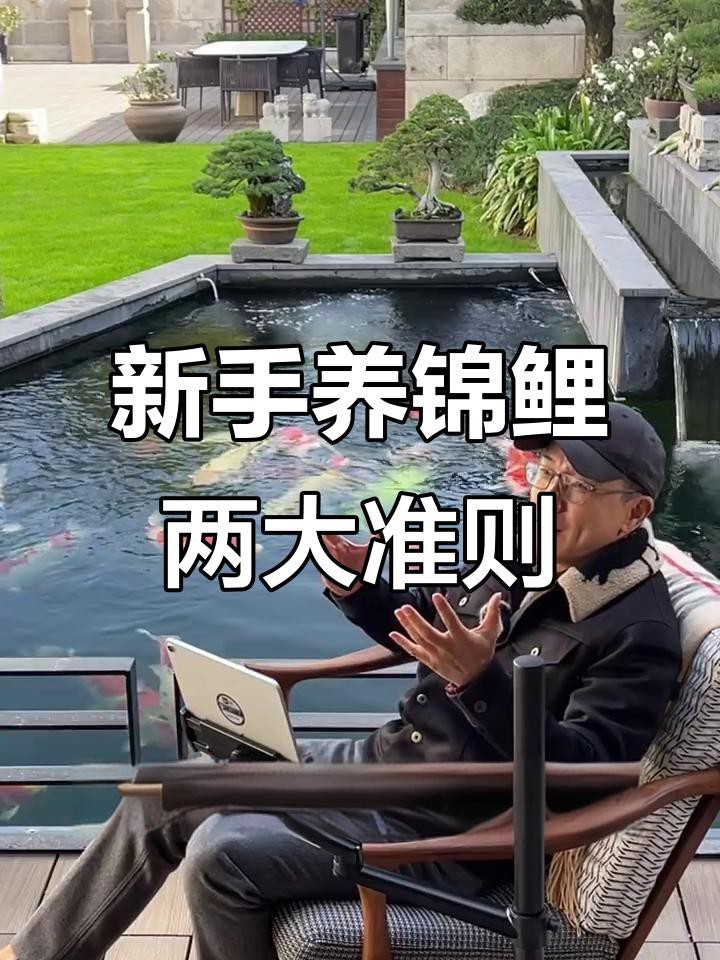 附近哪里有錦鯉賣