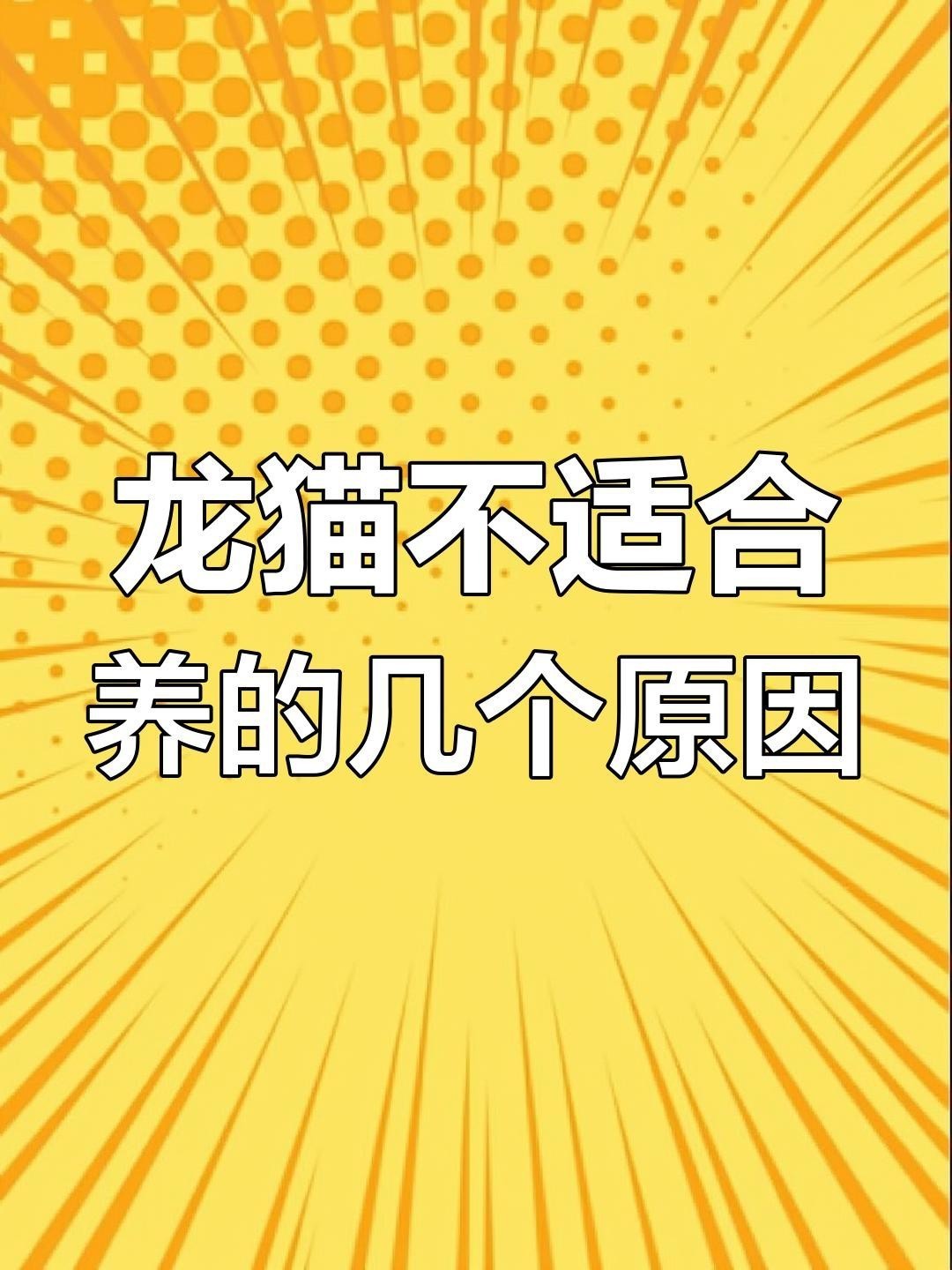 龍貓為什么不能隨便養(yǎng)