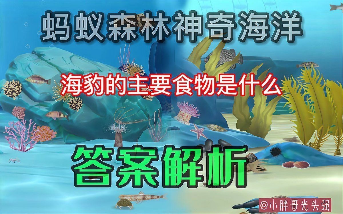 海豹吃什么食物為主食