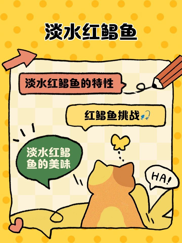 淡水紅鯧魚好吃嗎