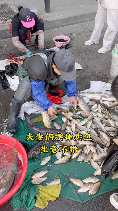 鄭州哪個市場賣龍魚便宜又好