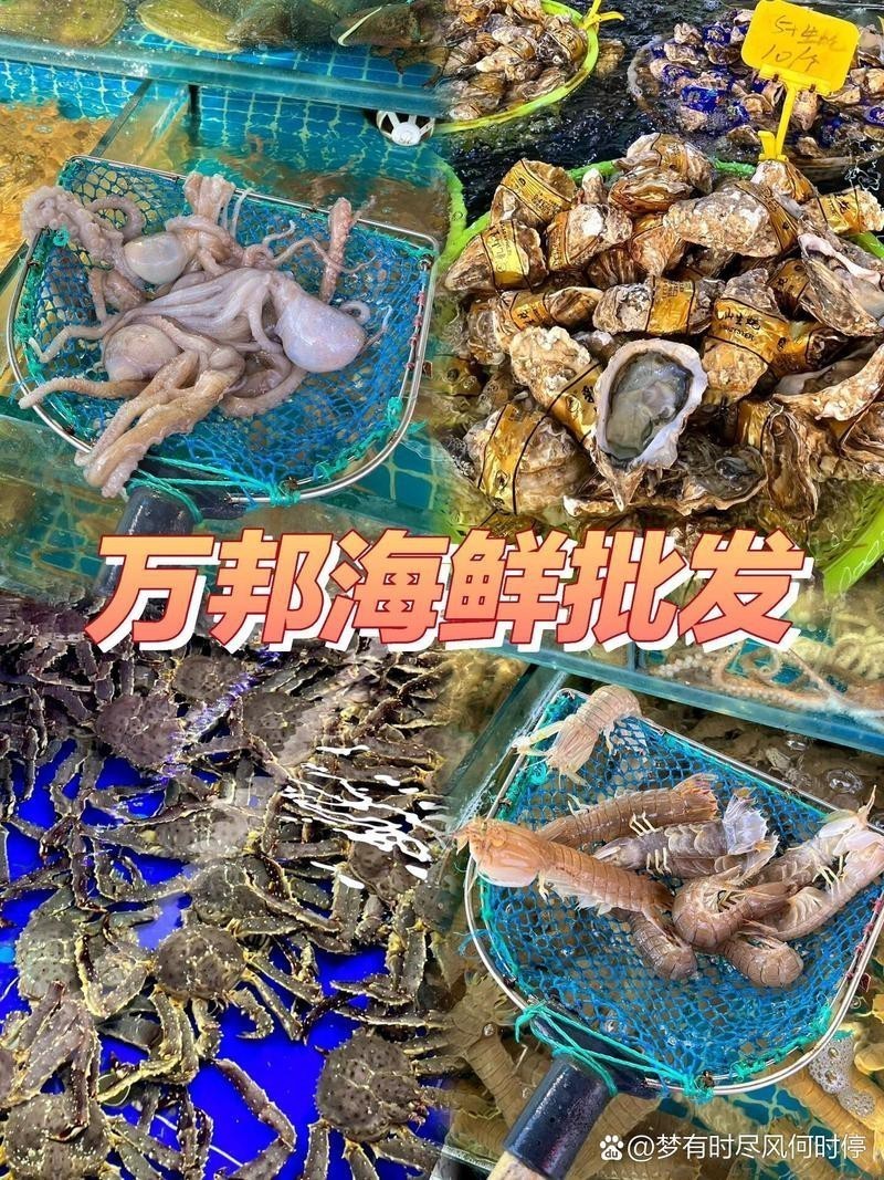 鄭州哪個市場賣龍魚便宜又好