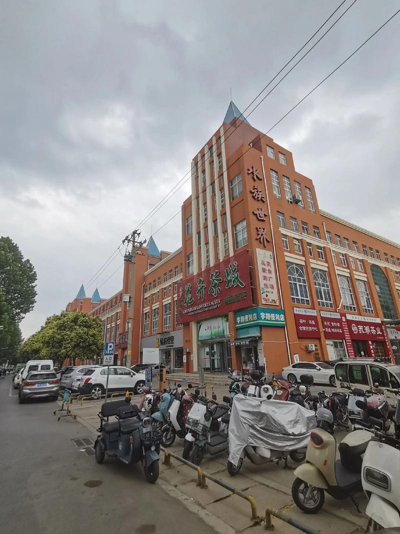 鄭州哪個市場賣龍魚便宜又好