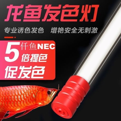 龍魚發(fā)色燈15000k和6700k
