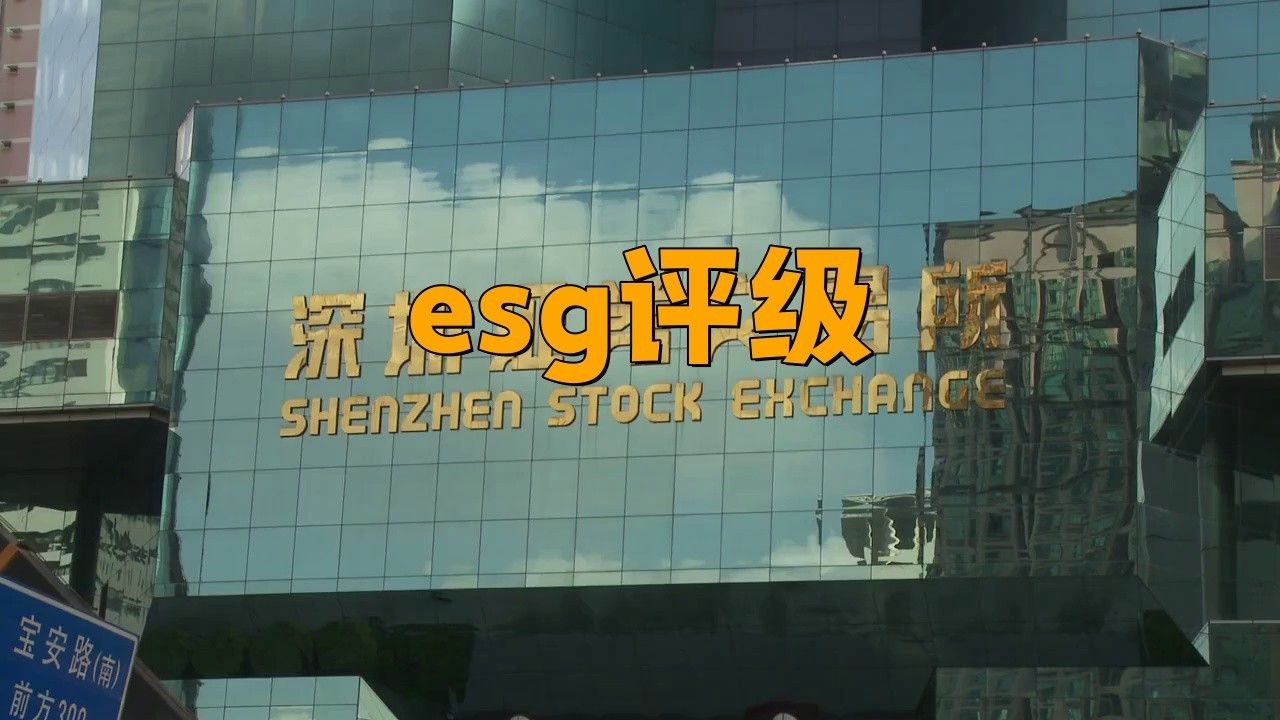金龍魚投資價值