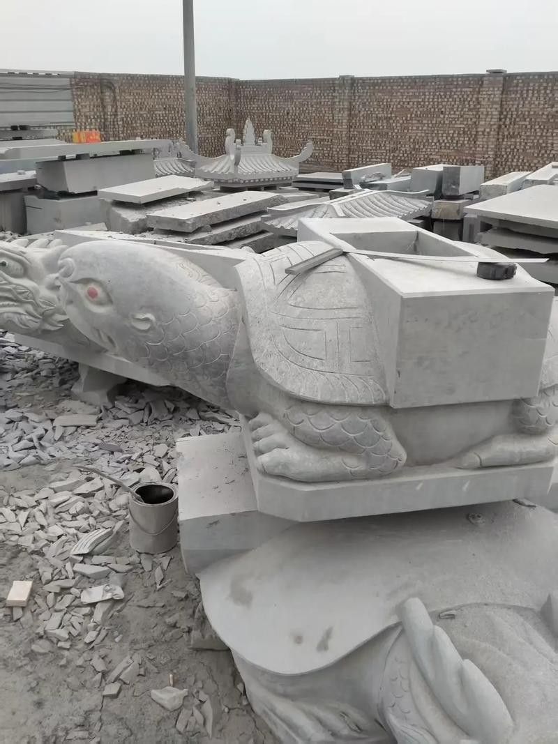 給我一張龍龜擺放的實物圖片參考