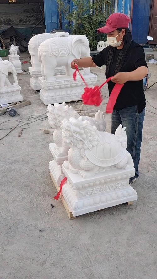 給我一張龍龜擺放的實物圖片參考