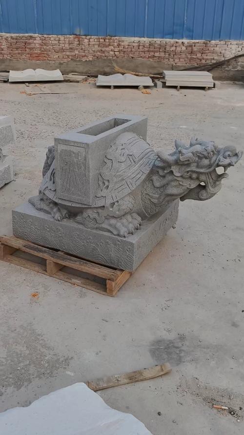 給我一張龍龜擺放的實物圖片參考