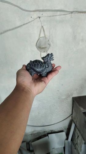 給我一張龍龜擺放的實物圖片參考