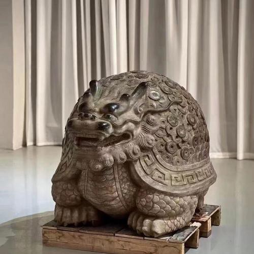 給我一張龍龜擺放的實物圖片參考