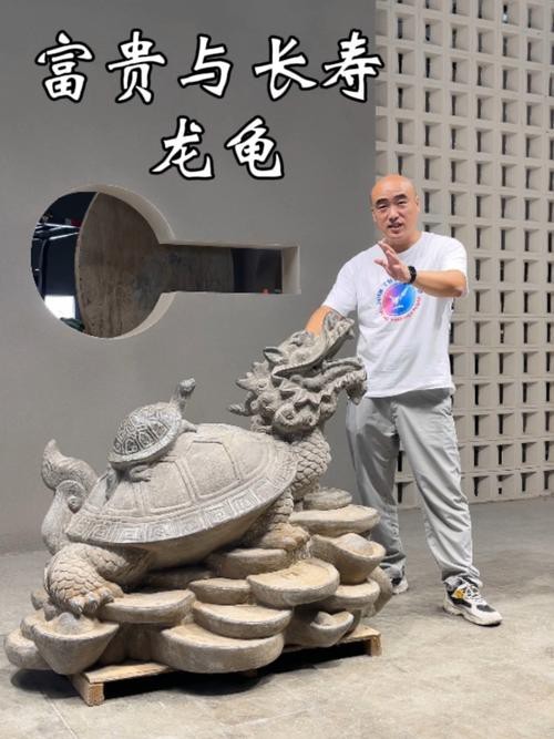 給我一張龍龜擺放的實物圖片參考