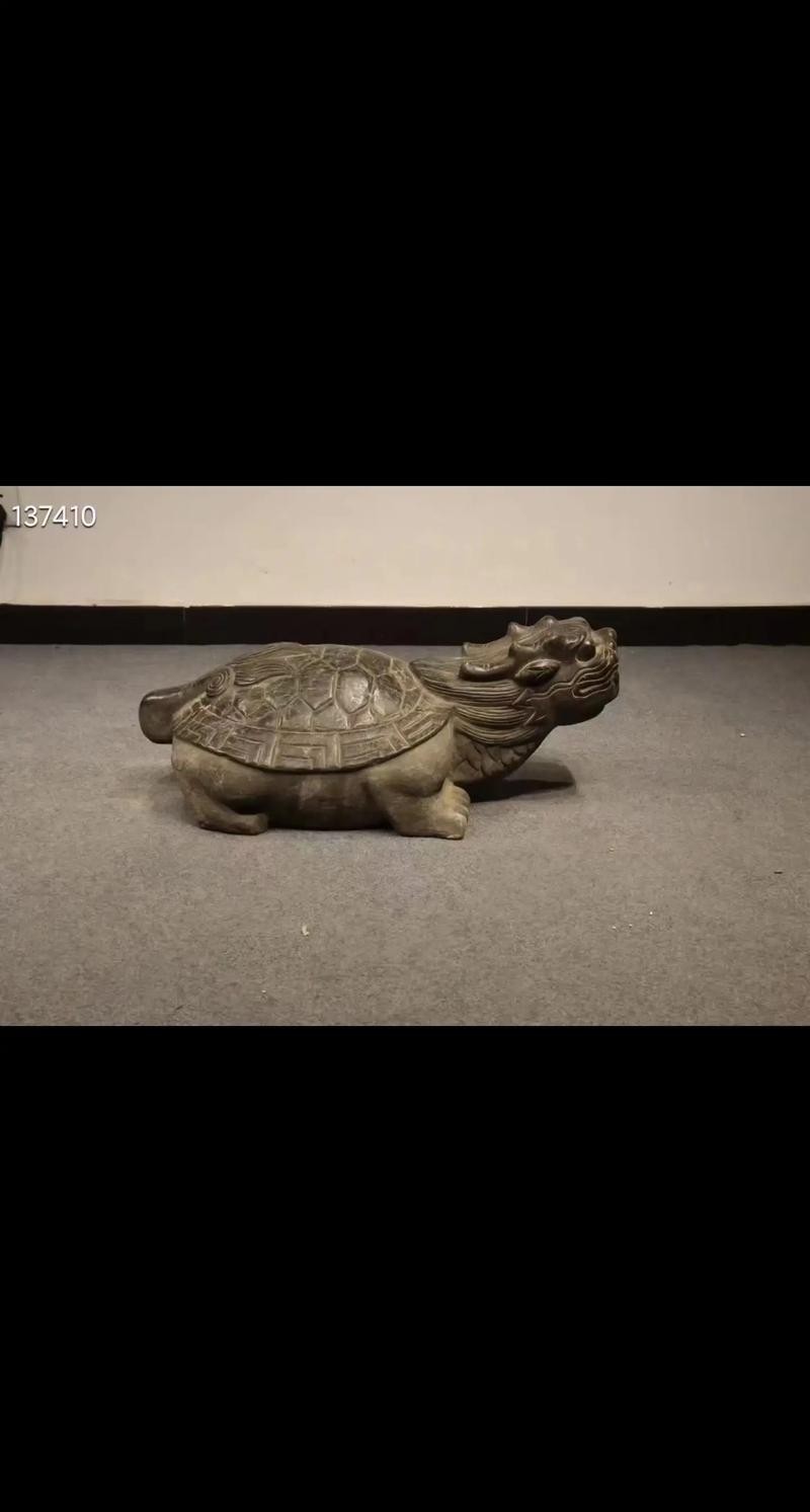 給我一張龍龜擺放的實物圖片參考
