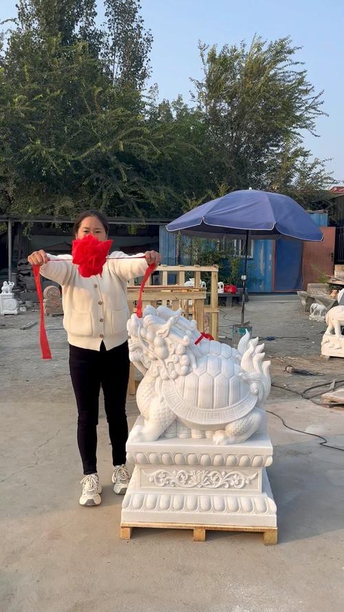 給我一張龍龜擺放的實物圖片參考