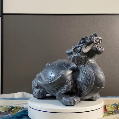 給我一張龍龜擺放的實物圖片參考