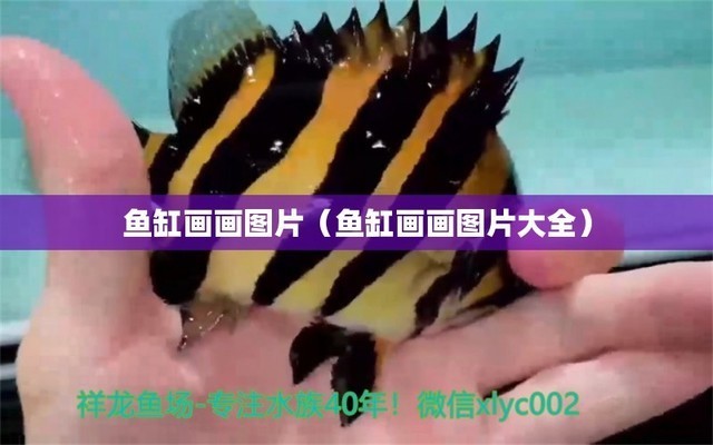 濰城區小亓花卉水族店