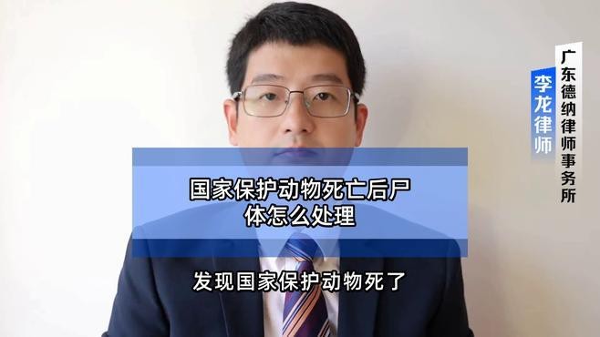 六角龍遺體火化需要哪些手續？