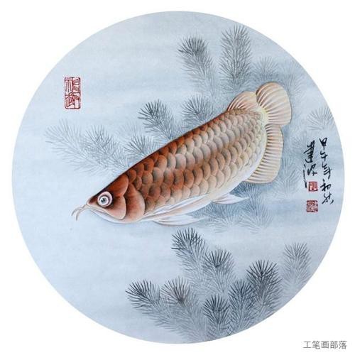 銀龍魚圖片及價(jià)格（銀龍魚價(jià)值多少錢）