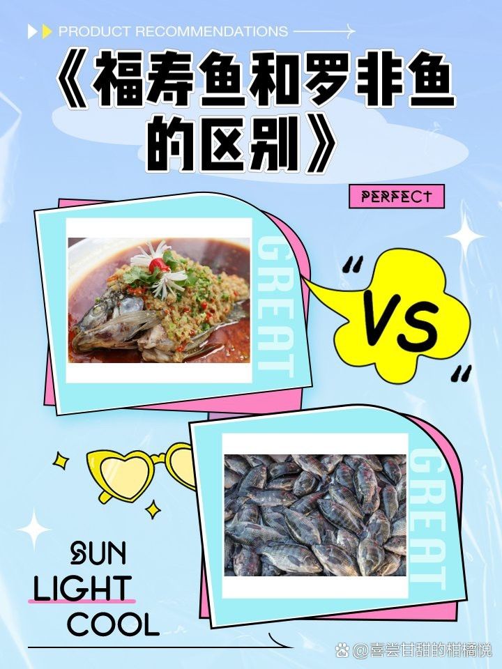福壽魚(yú)跟羅非魚(yú)一樣嗎