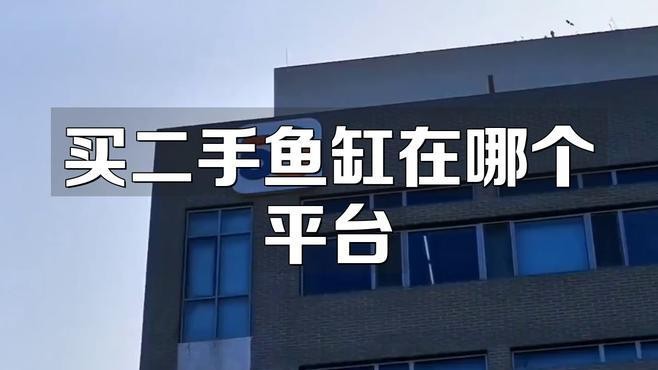 觀賞魚交易平臺哪個好
