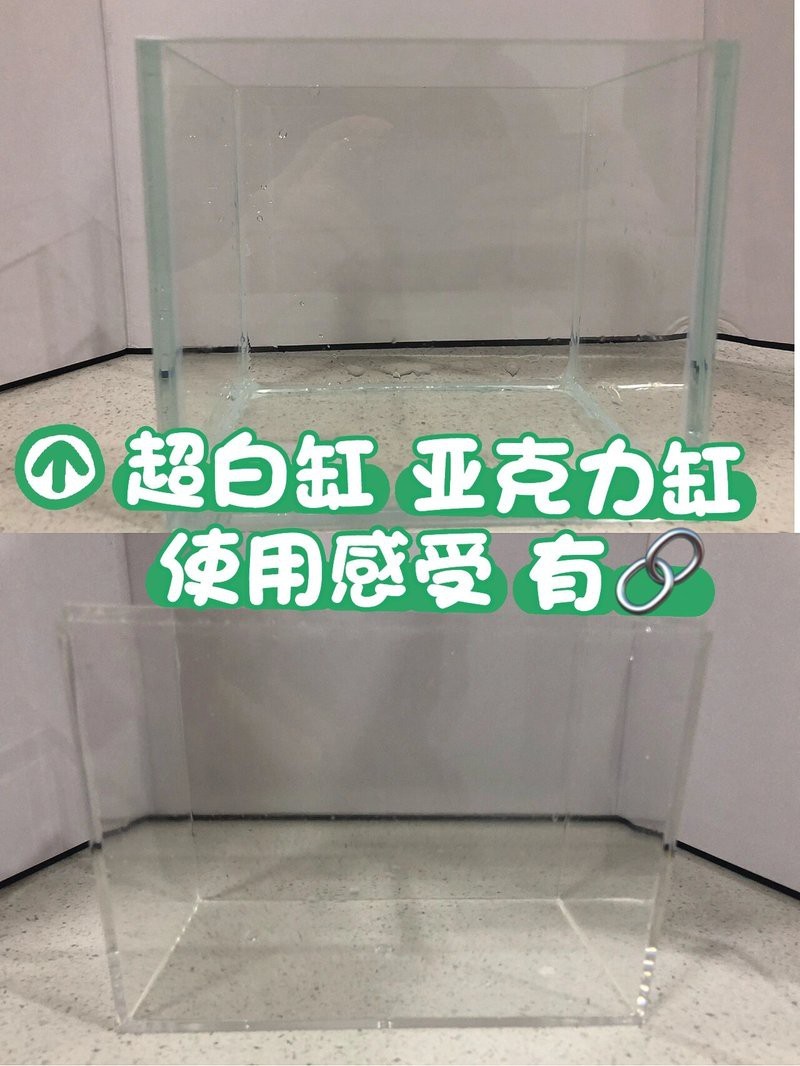 森森水族實體店地址查詢