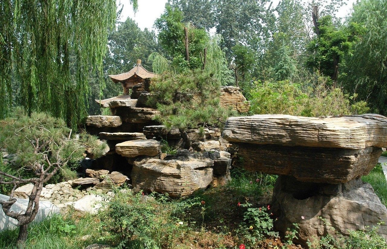 銀龍魚飼養(yǎng)環(huán)境條件（銀龍魚飼養(yǎng)環(huán)境條件要求）