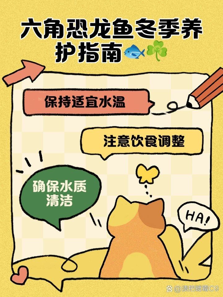 恐龍魚耐低溫嗎