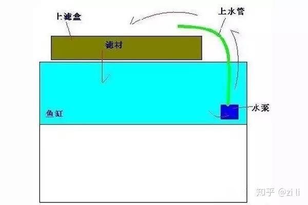 龍魚過濾系統多久需要維護一次？