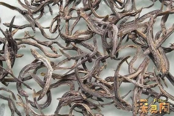 紅狼牙鰕虎魚價格表圖