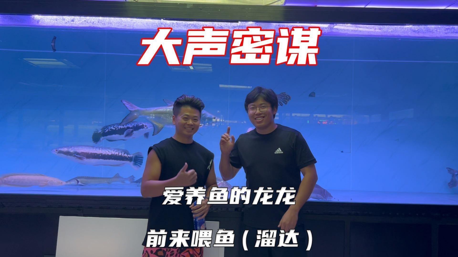如何欣賞龍龍養(yǎng)魚視頻？