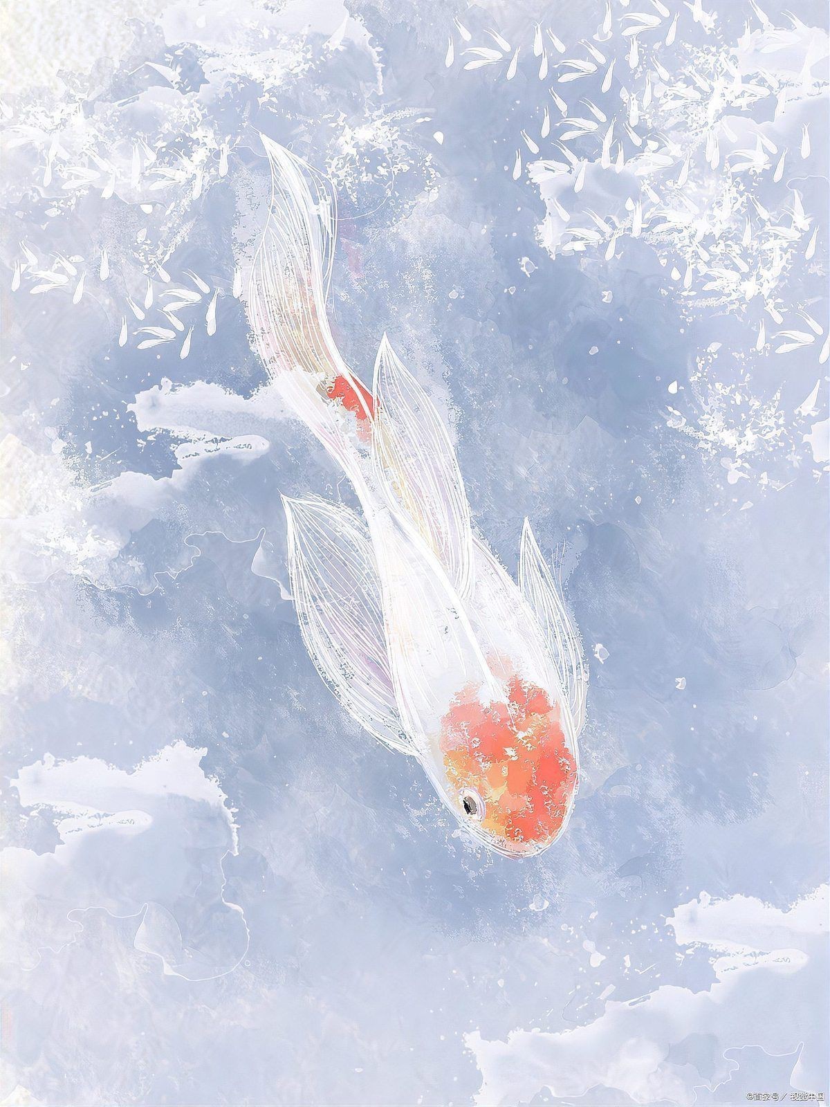 紅鯉魚的風(fēng)水作用