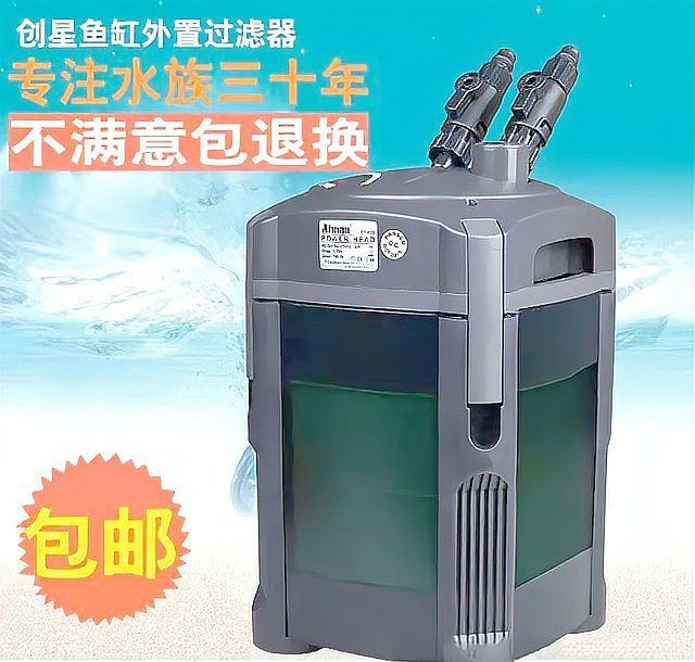 魟魚不能和什么魚混養